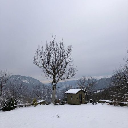 Παραδοσιακή Πέτρινη Κατοικία Στην Βλάχα Ελάτης Екстериор снимка