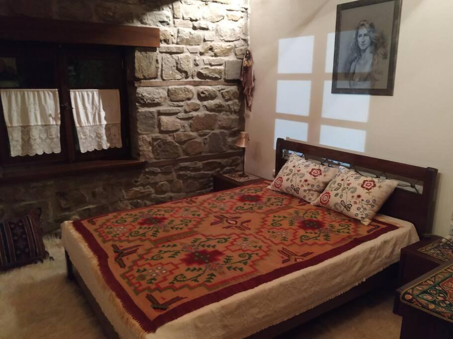 Παραδοσιακή Πέτρινη Κατοικία Στην Βλάχα Ελάτης Екстериор снимка