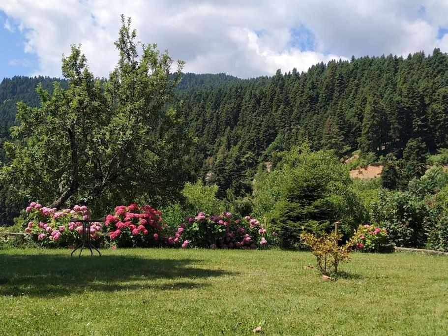 Παραδοσιακή Πέτρινη Κατοικία Στην Βλάχα Ελάτης Екстериор снимка